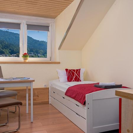 Pension Bayerwald Mit Ferienwohnung Bodenmais Exterior photo